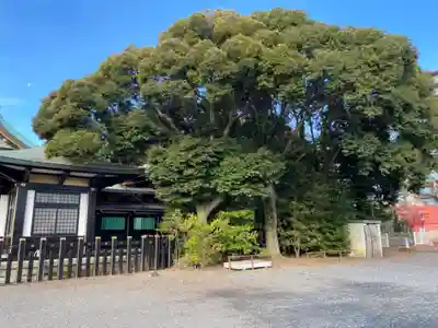 水戸東照宮のその他建物