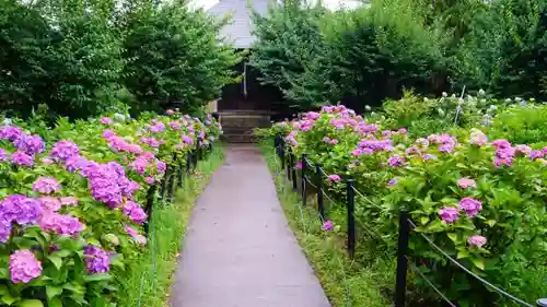 本土寺の庭園