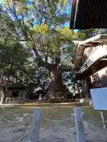 川津来宮神社(静岡県)