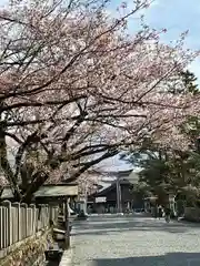 阿蘇神社(熊本県)