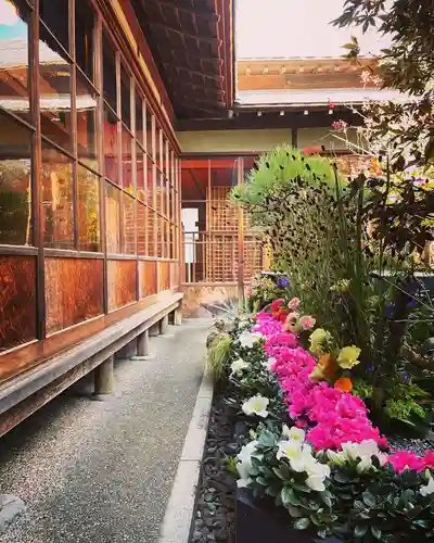 白山神社の庭園