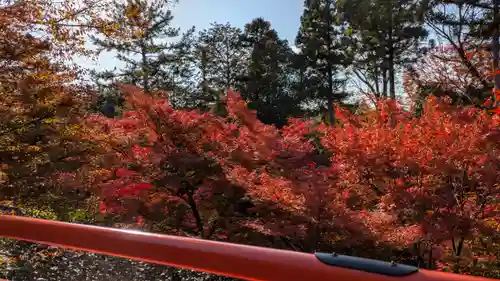 北野天満宮(京都府)