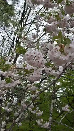 牡丹稲荷神社の自然