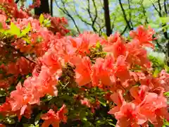 滑川神社 - 仕事と子どもの守り神の周辺