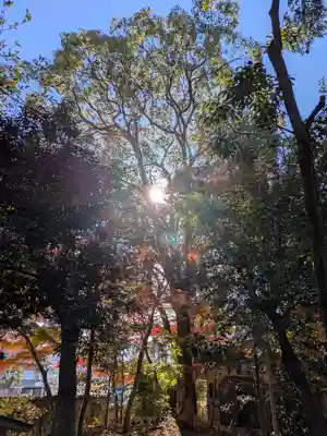 御坂神社(兵庫県)