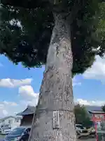 三宮神社御旅所(京都府)