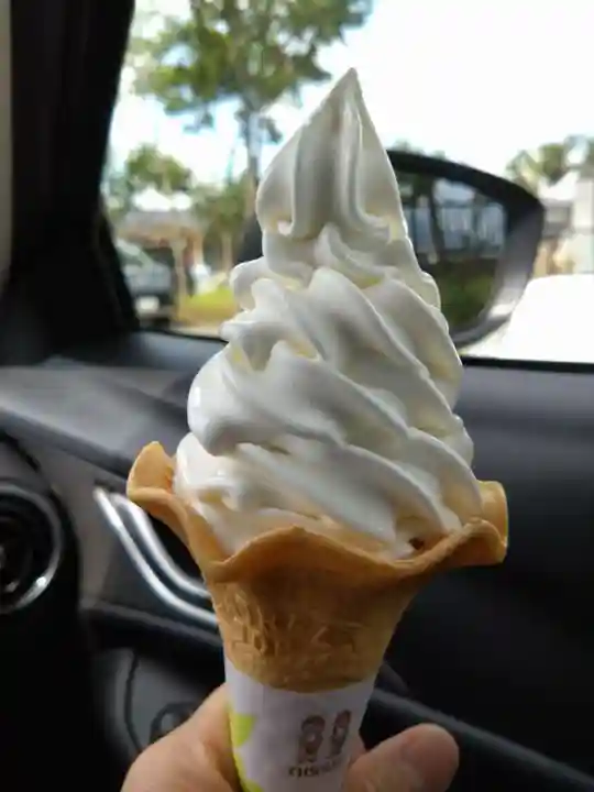 阿蘇神社の食事