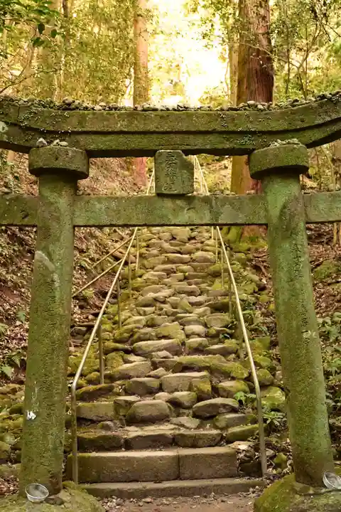胎蔵寺(大分県)