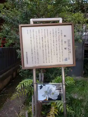 金王八幡宮(東京都)