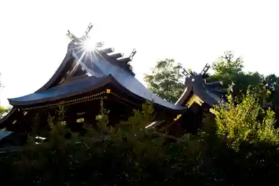 鷲宮神社の本殿・本堂