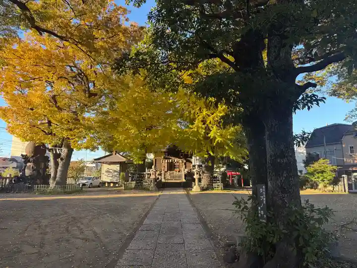 八幡橋八幡神社(神奈川県)
