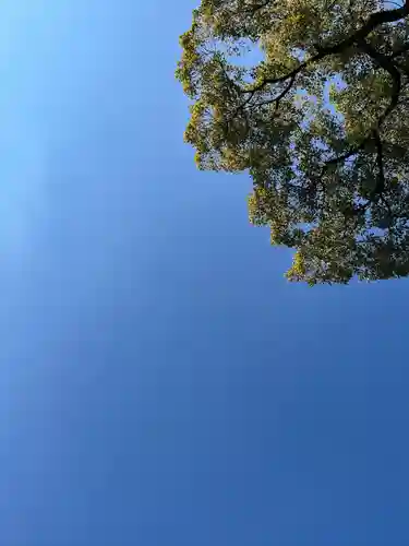 八雲神社(緑町)(栃木県)
