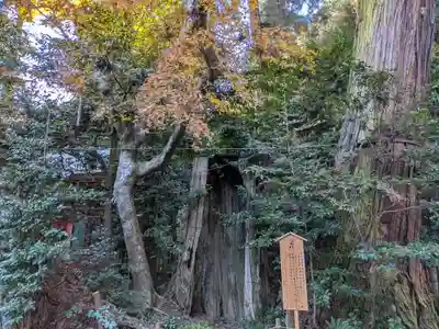 香取神宮(千葉県)
