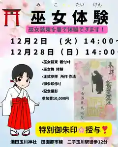 瀬田玉川神社(東京都)(2025年11月04日(火) 10時35分27秒投稿)