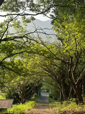 荒魂神社(香川県)