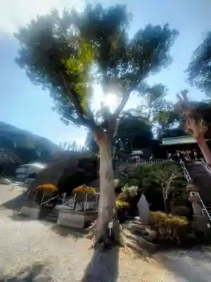 走水神社(神奈川県)