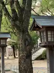 湊川神社の自然