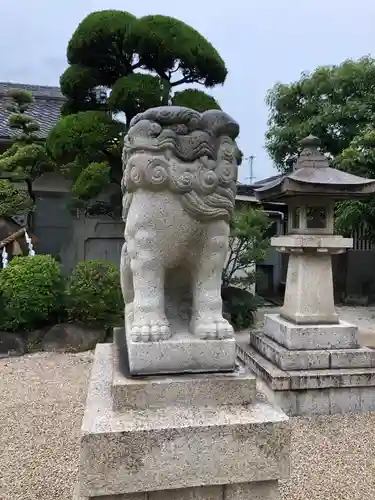 荒井神社の狛犬