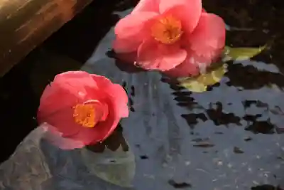 鹿島大神宮の手水舎