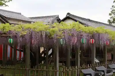 惣社神社(滋賀県)