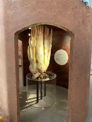 ジンジャー神社(栃木県)