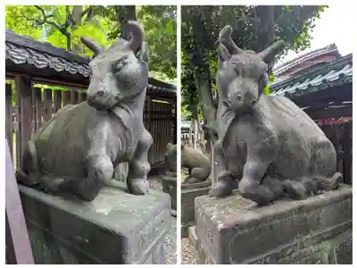 牛嶋神社の狛犬