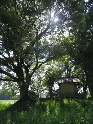神明神社(千葉県)