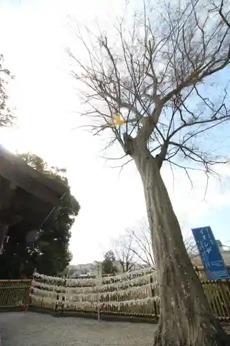 師岡熊野神社(神奈川県)