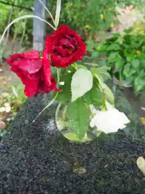 円通院(宮城県)