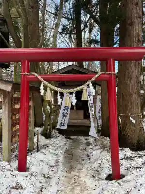 青柳神社の{uncategorized: "未分類", other: "その他", undefined: "問題あり", building: "その他建物", grave: "お墓", sacred_gate: "鳥居", guardian: "狛犬", statue: "像", buddha: "仏像", history: "歴史", nature: "自然", garden: "庭園", animal: "動物", pagoda: "塔", temizu: "手水舎", mountain_gate: "山門・神門", sanctuary: "本殿・本堂", subordinate: "末社・摂社", art: "芸術", scenery: "景色", jizo: "地蔵", ema: "絵馬", goshuin: "御朱印", omikuji: "おみくじ", items: "授与品その他", amulet: "お守り", goshuincho: "御朱印帳", eats: "食事", festival: "お祭り", votive_dance: "神楽", shichigosan: "七五三参", wedding: "結婚式", experience: "体験その他", initially: "初詣", around: "周辺", anti_infection: "感染症対策"}