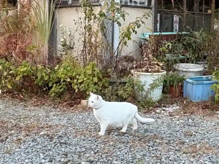 神咒寺(兵庫県)