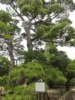 滑河山龍正院のその他建物