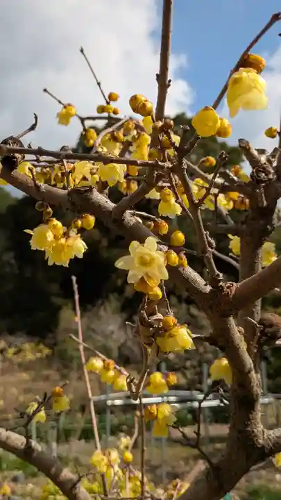 惠心院(恵心院)(京都府)