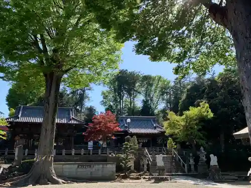 瀧宮神社(埼玉県)