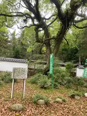賀茂神社(愛知県)