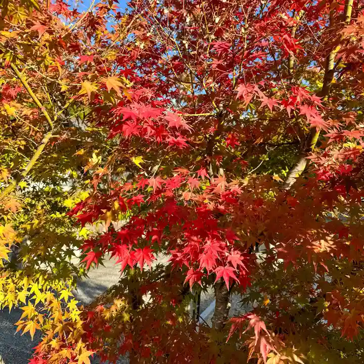 伊勢の国 四天王寺(三重県)