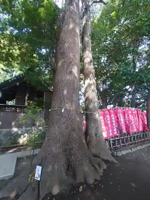 鶴嶺八幡宮(神奈川県)
