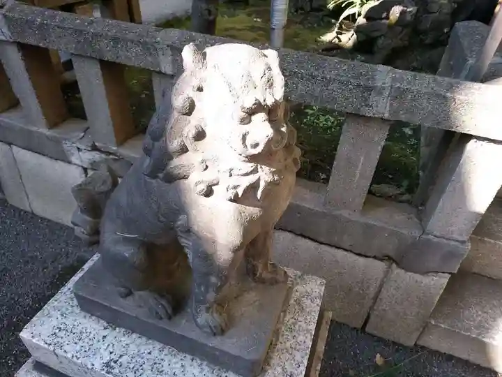 天祖神社の狛犬