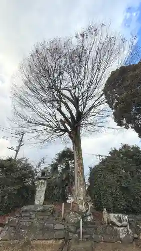 天都賀佐彦神社(徳島県)