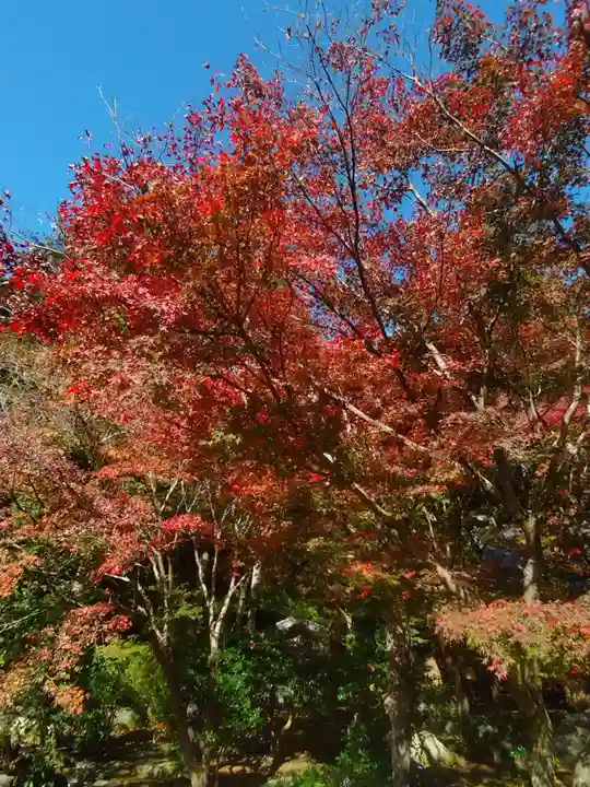 覚園寺(神奈川県)