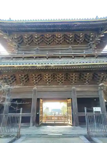 大樹寺（松安院大樹寺）の山門