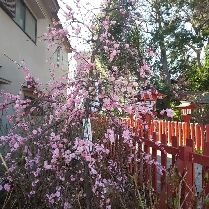 川越八幡宮の自然