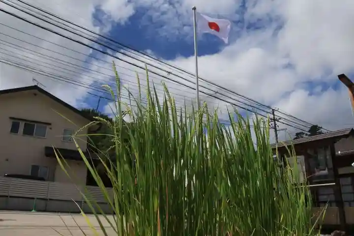 大鏑神社の自然
