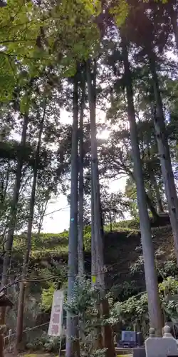 浄智寺(神奈川県)
