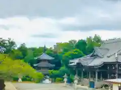 金蔵寺の建物その他