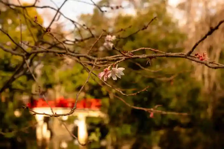 武蔵一宮氷川神社(埼玉県)