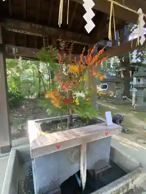 赤坂氷川神社(東京都)