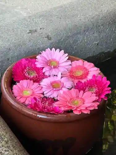菅生神社(愛知県)