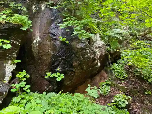 小菅神社奥社(長野県)