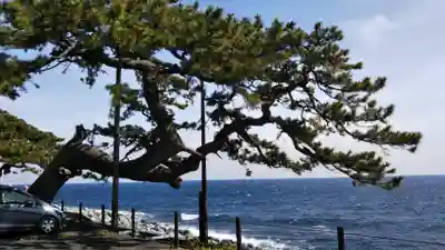 素盞嗚神社の周辺